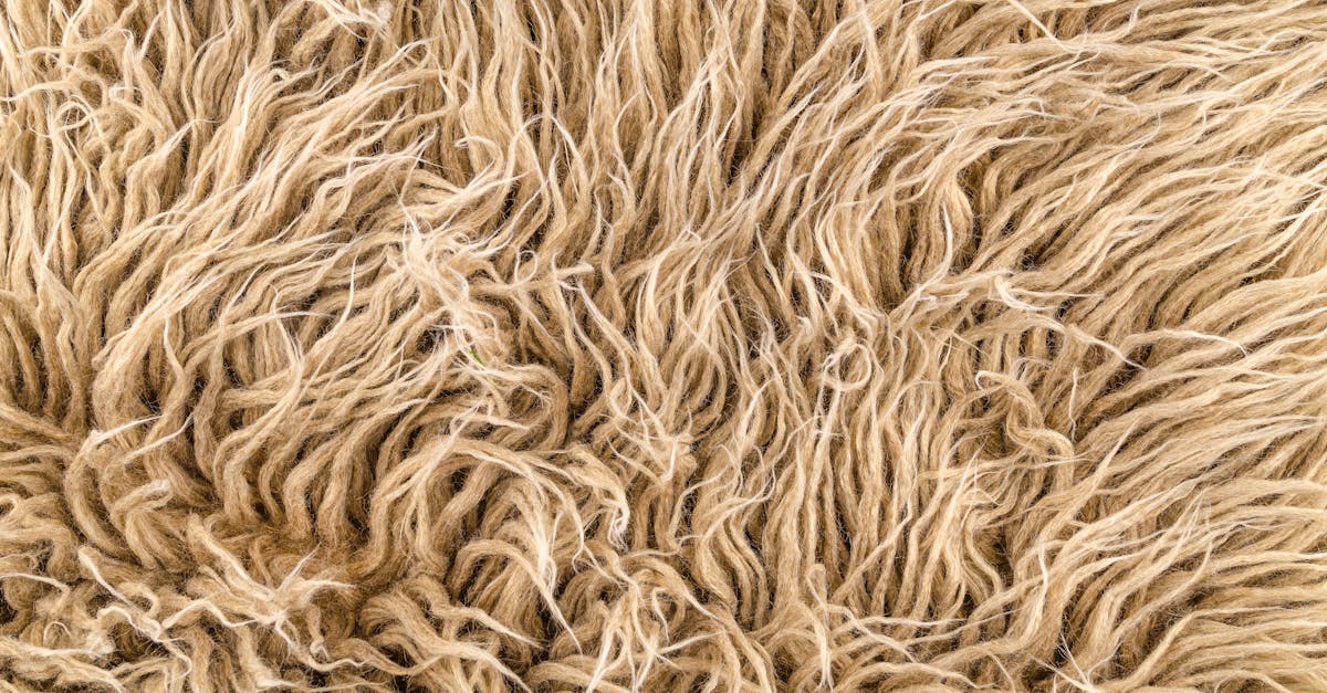 What Are the Benefits of Custom Rugs Over Pre-Made Ones?